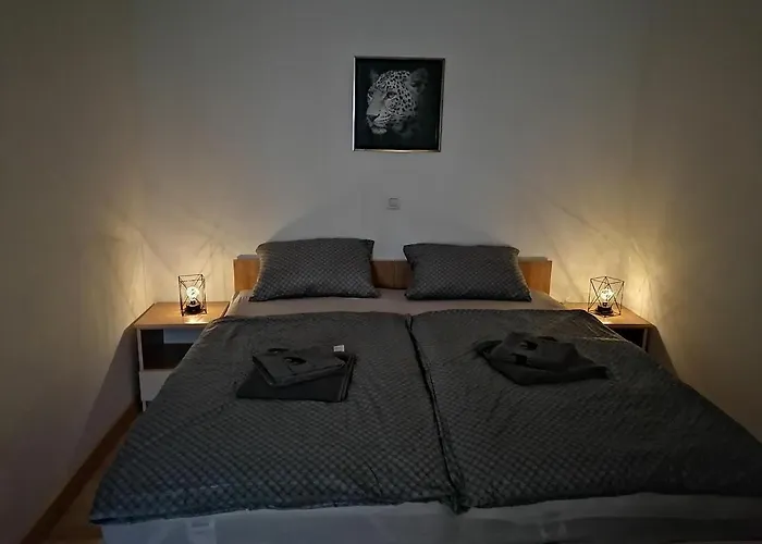 Dujmovic Diklo زادار